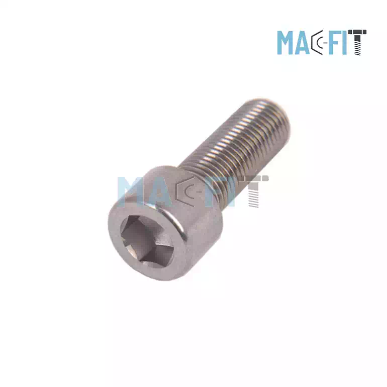 Duplex Allen Head Screw