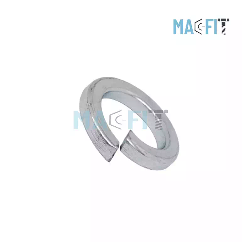 Duplex Spring Washer