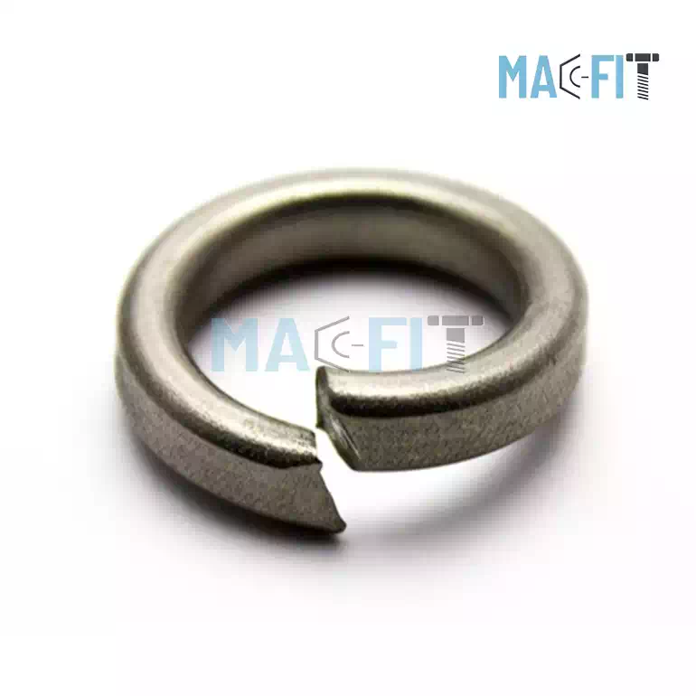 Hastelloy Spring washer