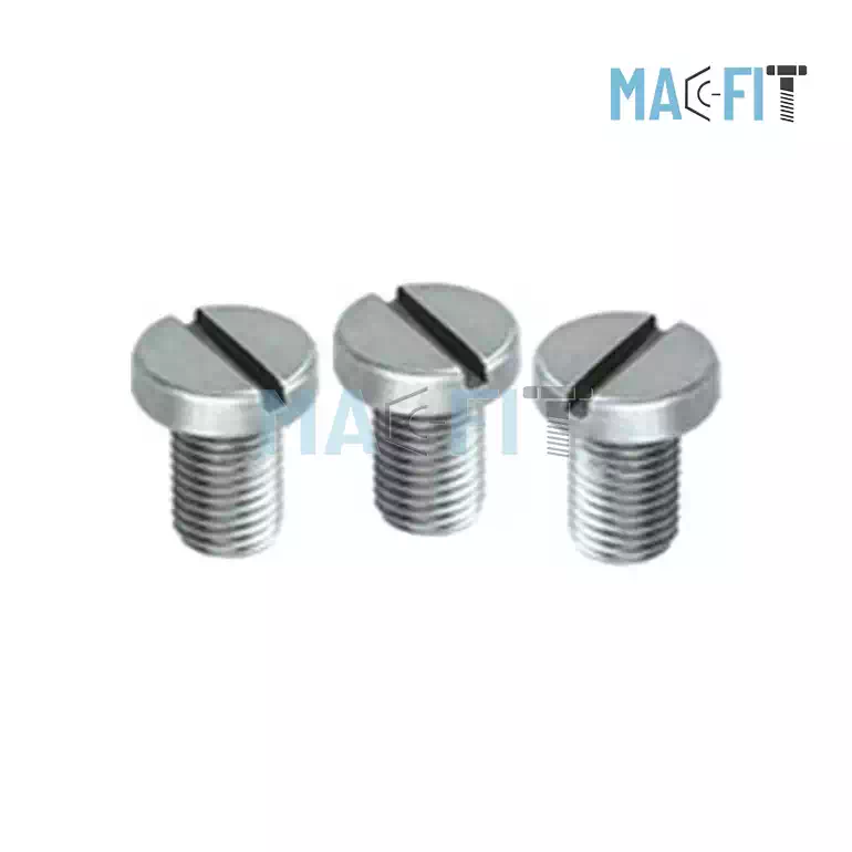 Mild Steel Cheese Head Screw