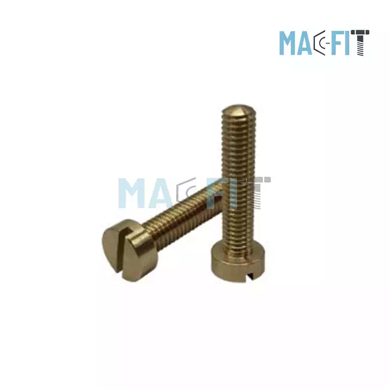 Phosphor Bronze Cheese Head Screw