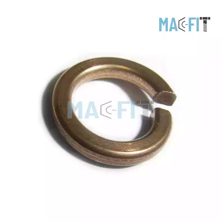 Phosphor Bronze Spring Washer