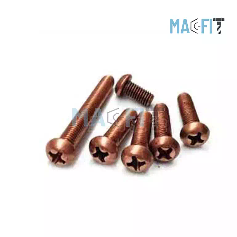 Phosphor Bronze Pan Head Screw