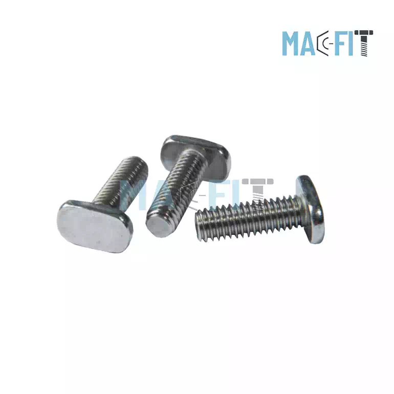 Stainless Steel T head Bolt